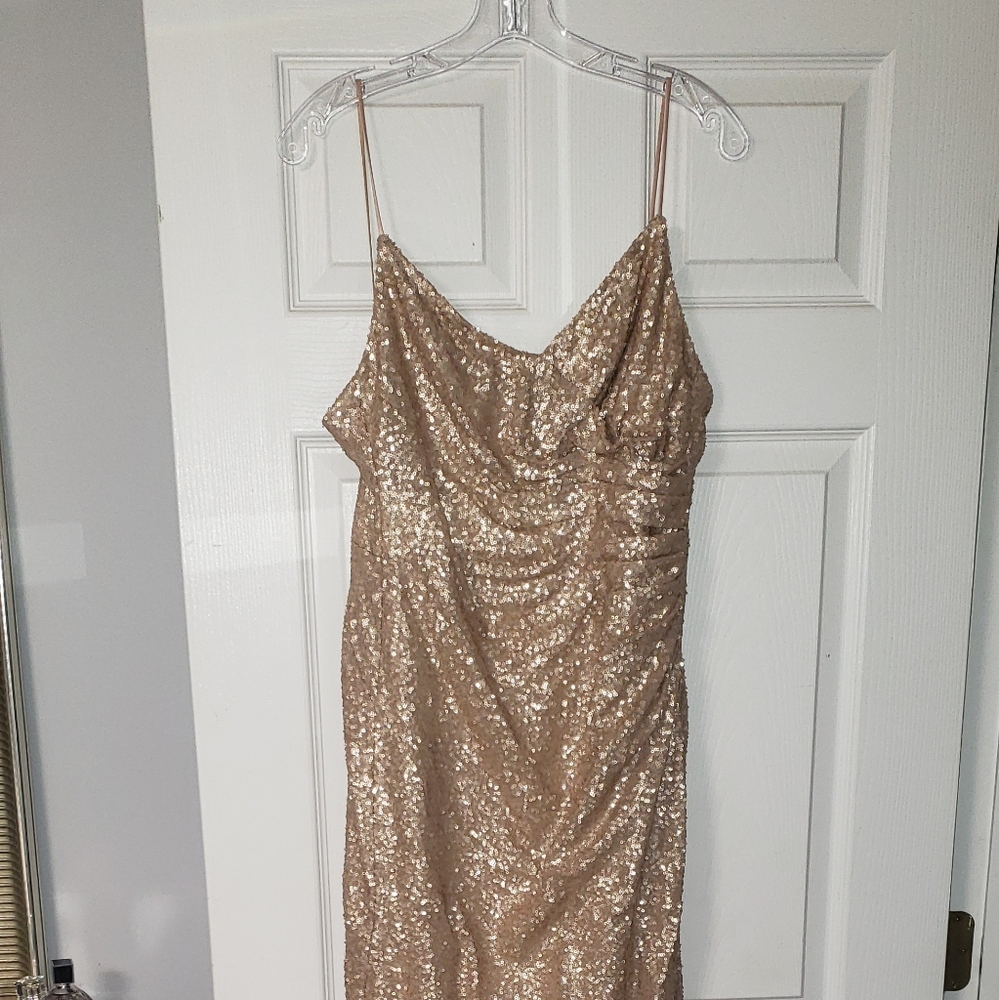 Blush sequin gown.